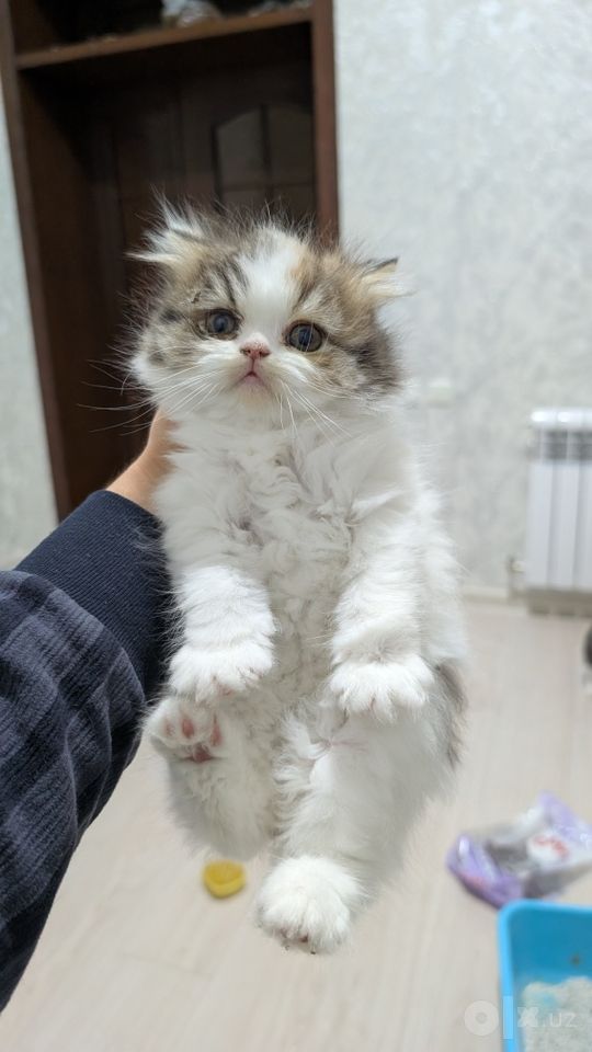 50 USD