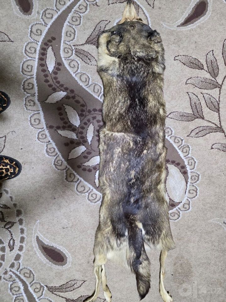150 USD