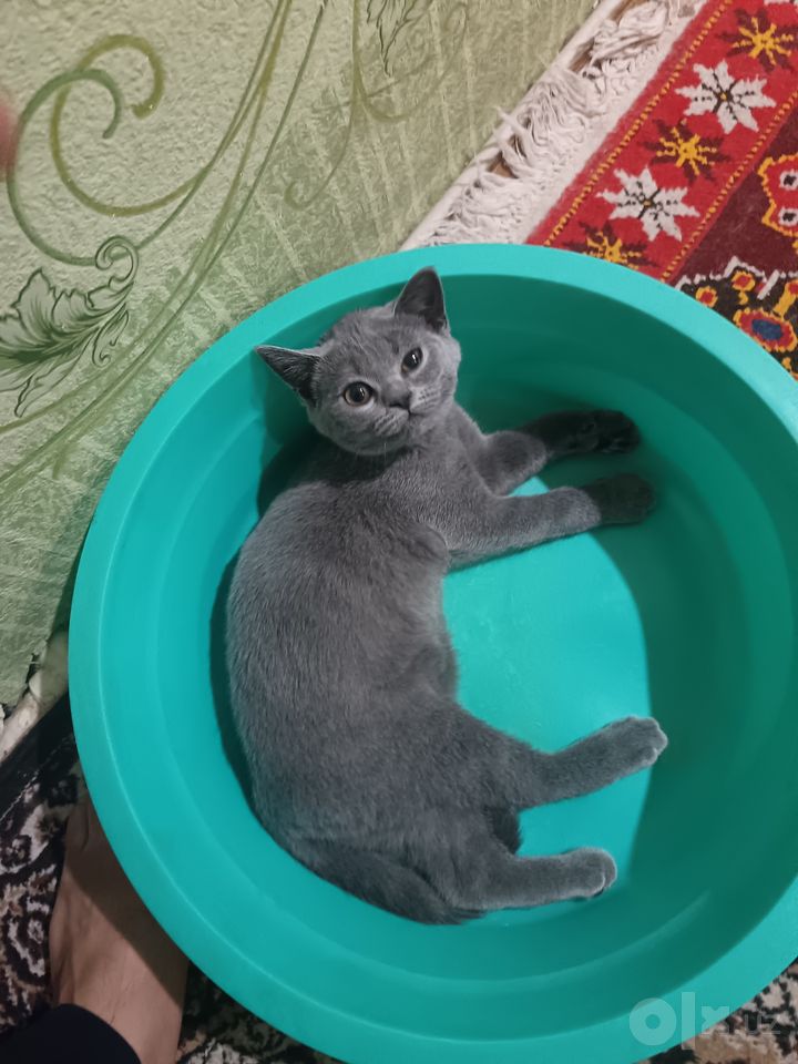 500 000 сум
