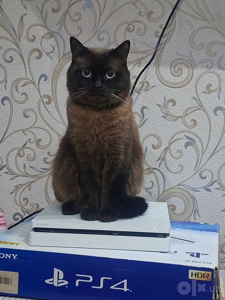 1 000 000 сум