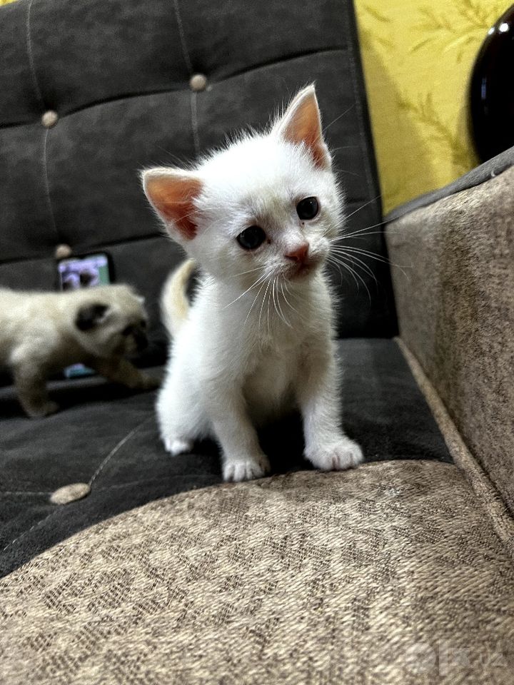 400 000 сум