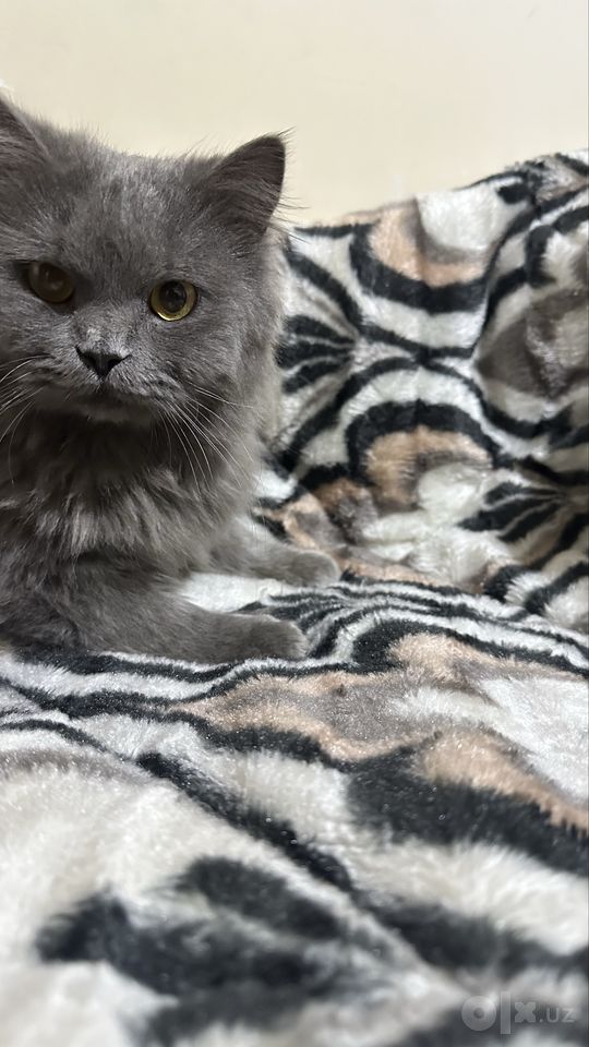 1 700 000 сум
