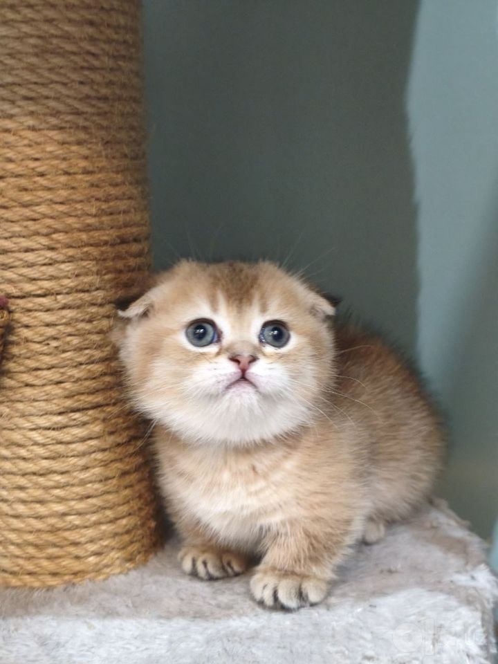 700 USD