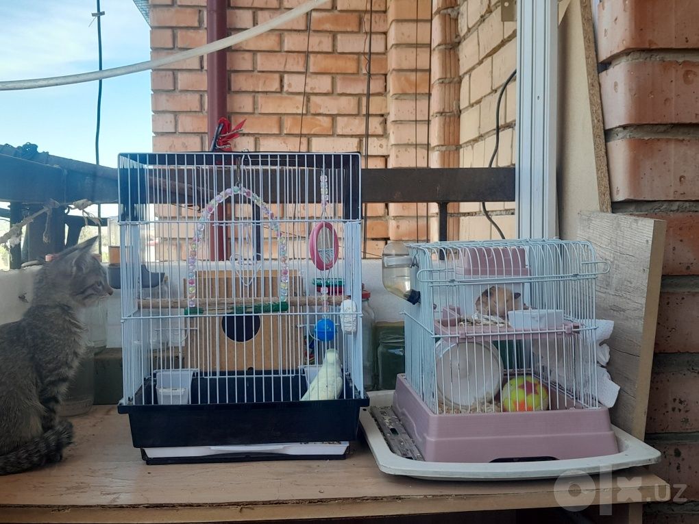 550 000 сум
