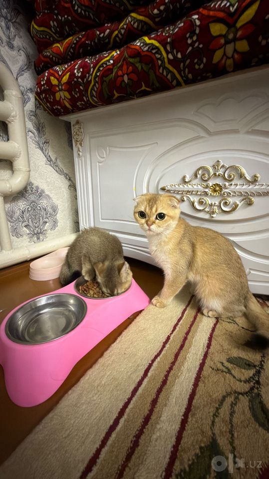 3 000 000 сум