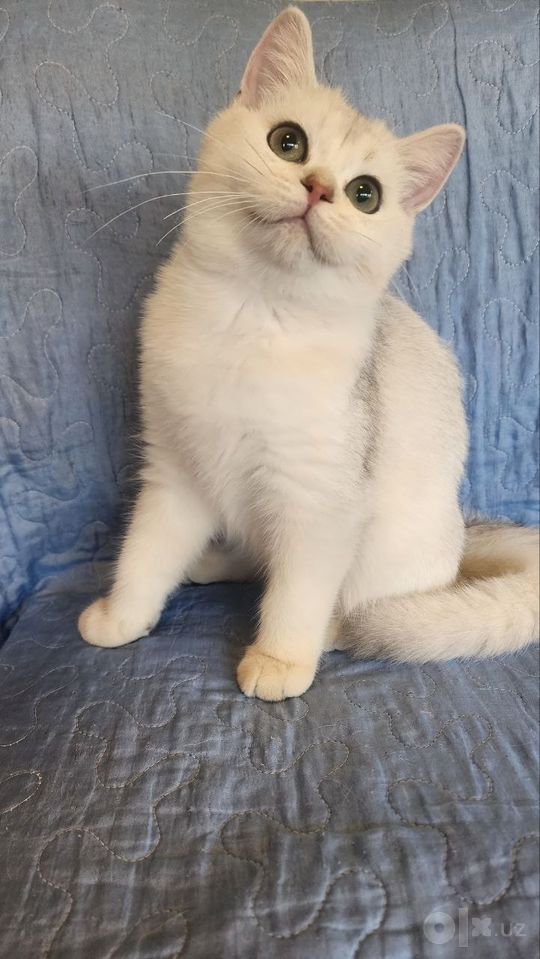 100 000 UZS