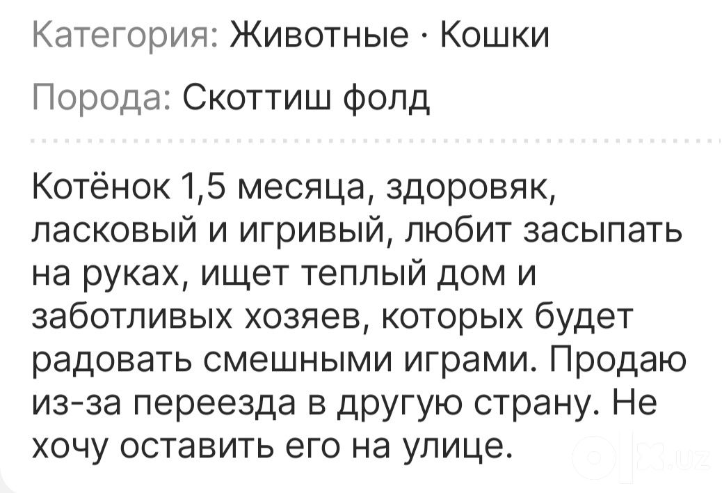 300 000 UZS