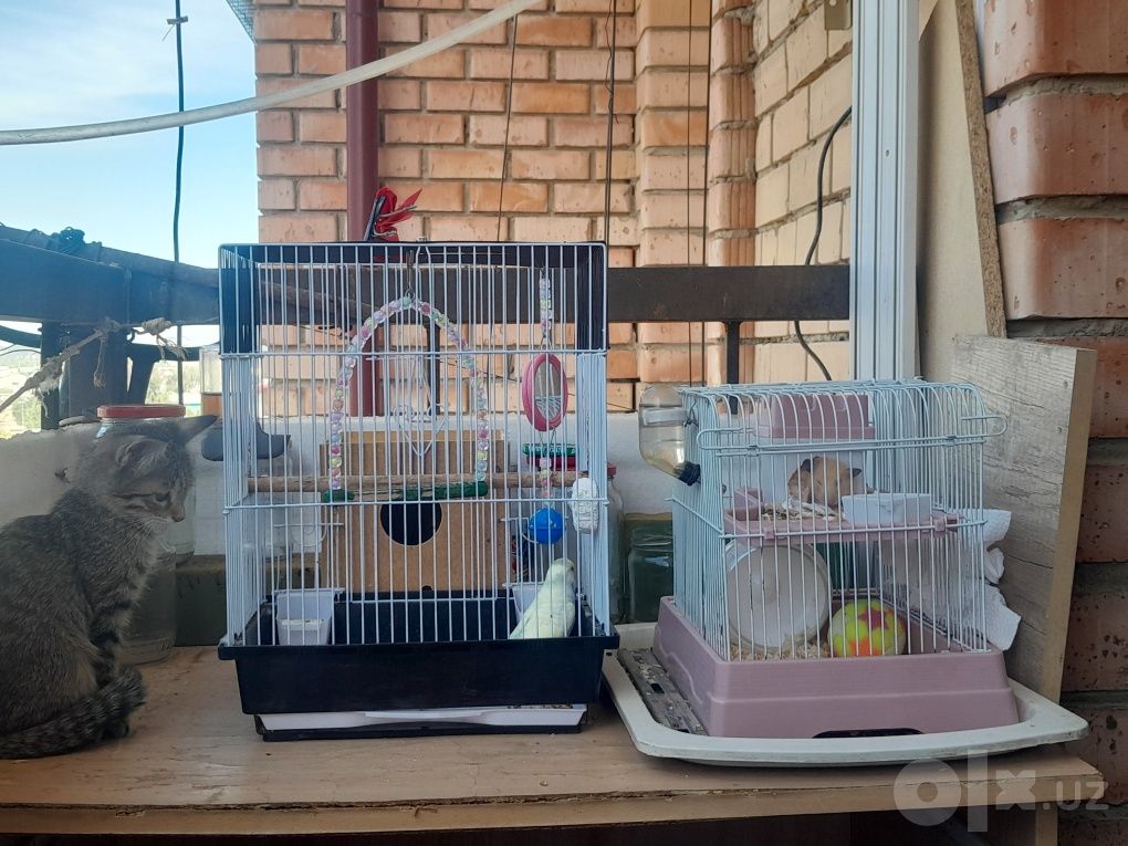 550 000 сум