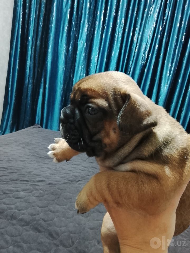 300 USD