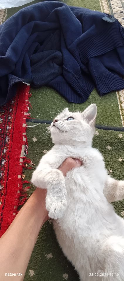 150 000 сум
