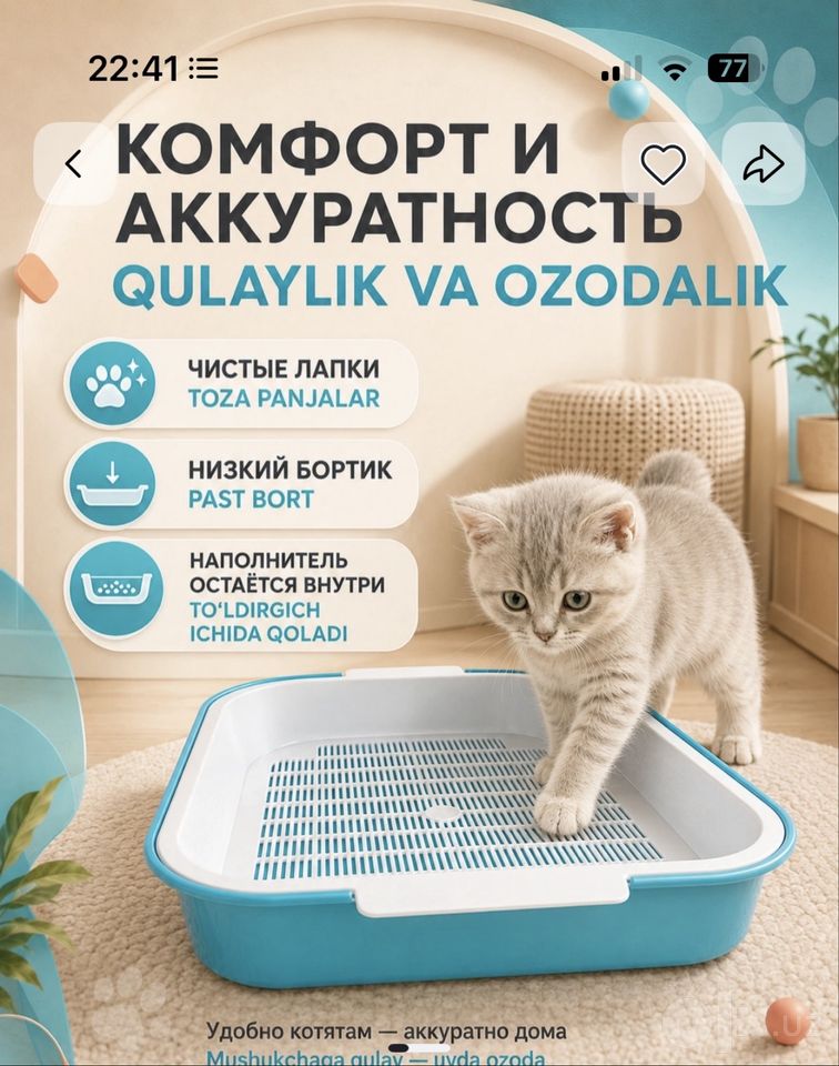 Бесплатно