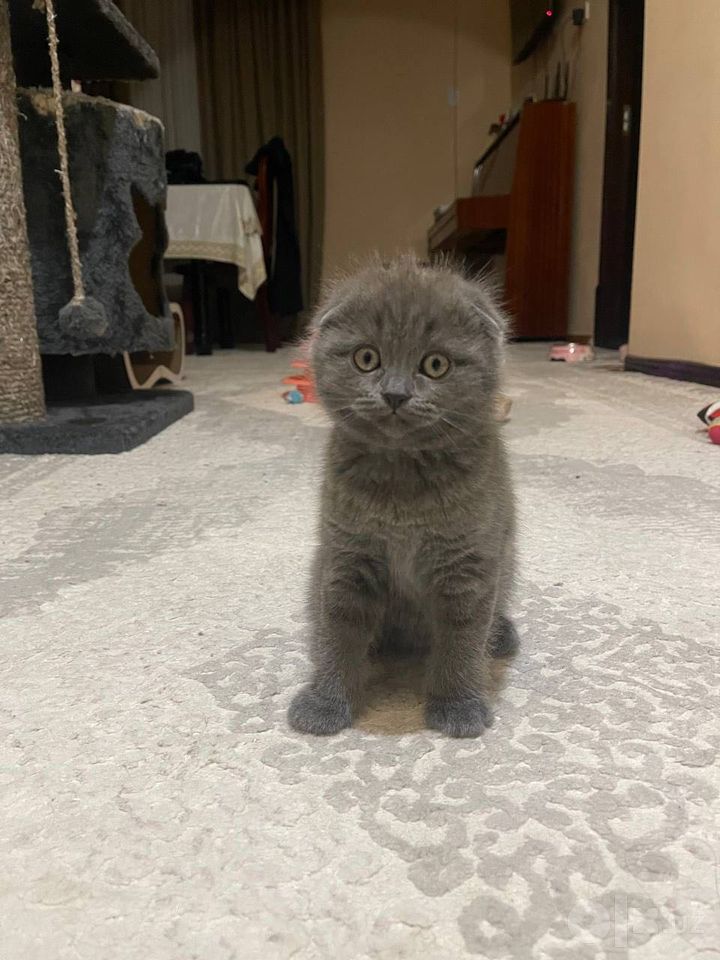1 250 000 сум