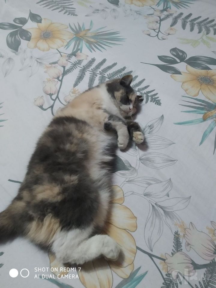 500 000 сум