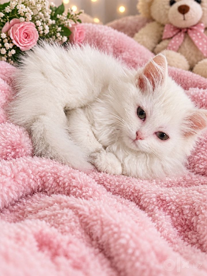 500 000 сум