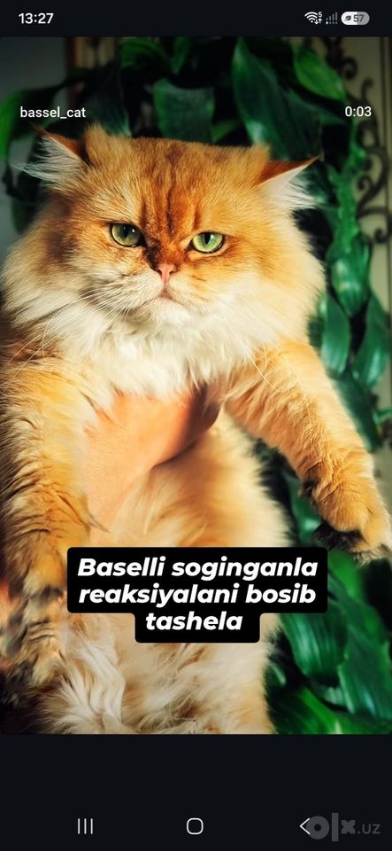 500 000 сум