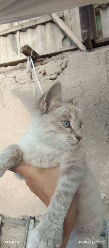 150 000 сум