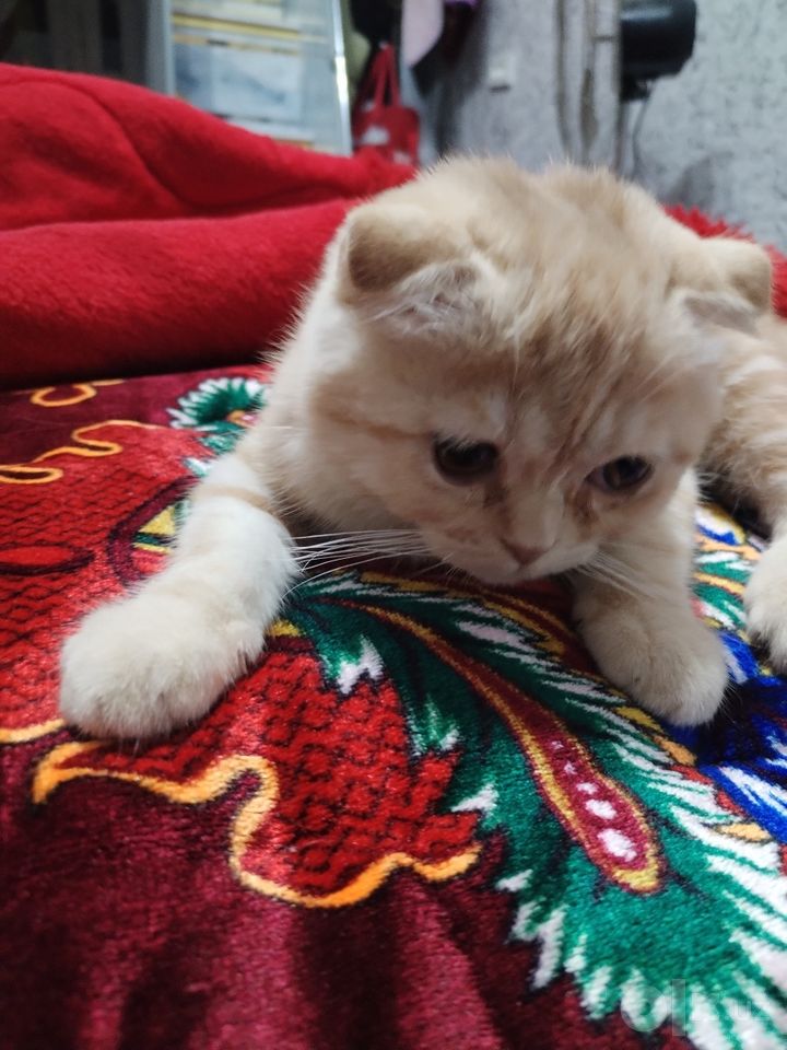 1 000 000 сум