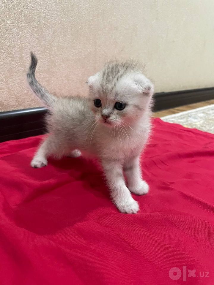 1 000 000 сум