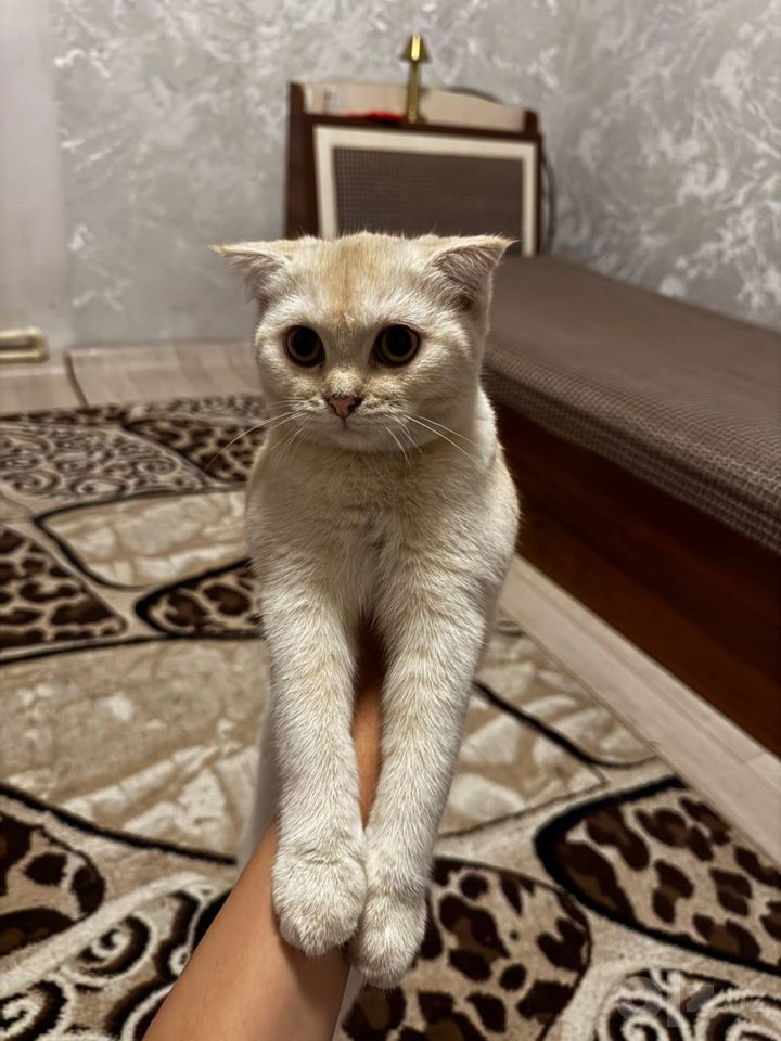 50 USD