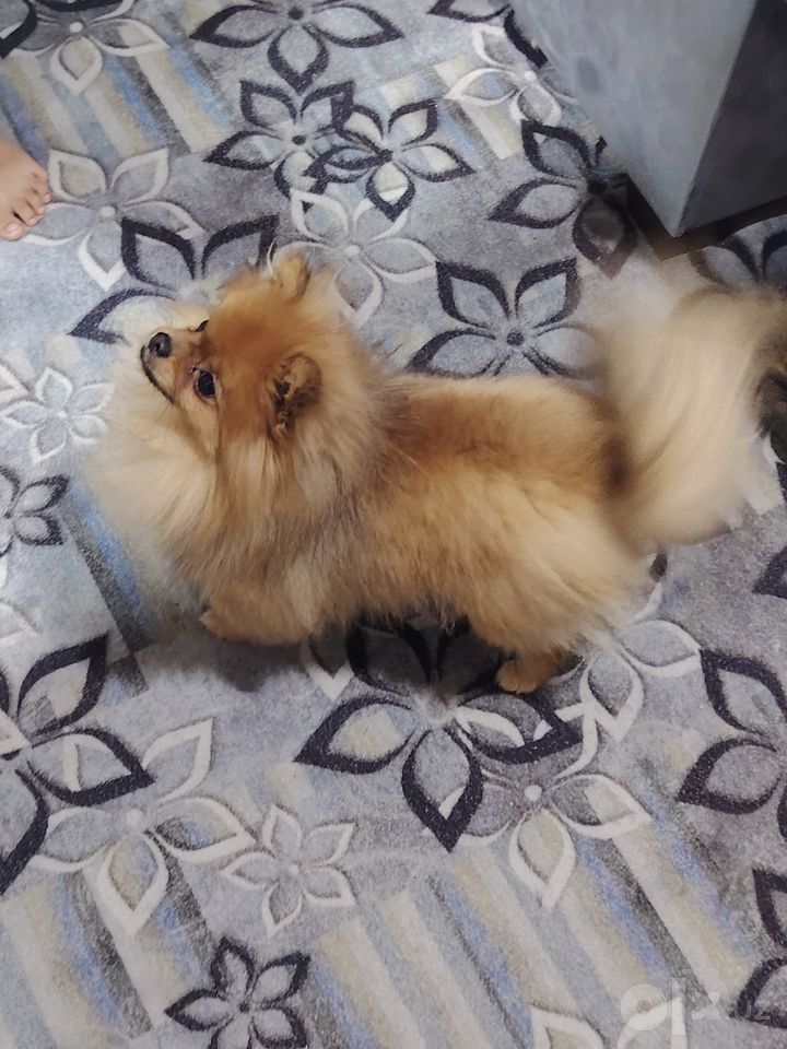 550 USD
