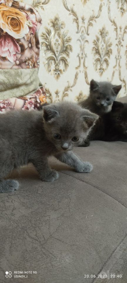 1 700 000 сум
