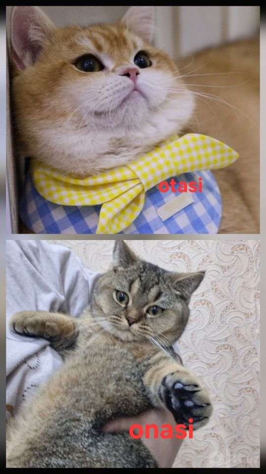 1 000 000 сум