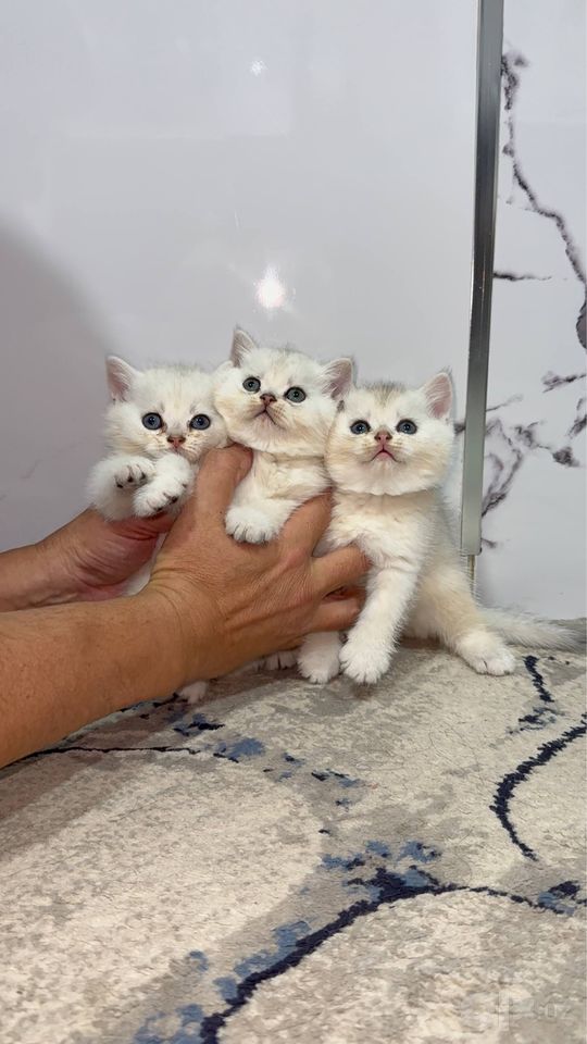 2 500 000 сум