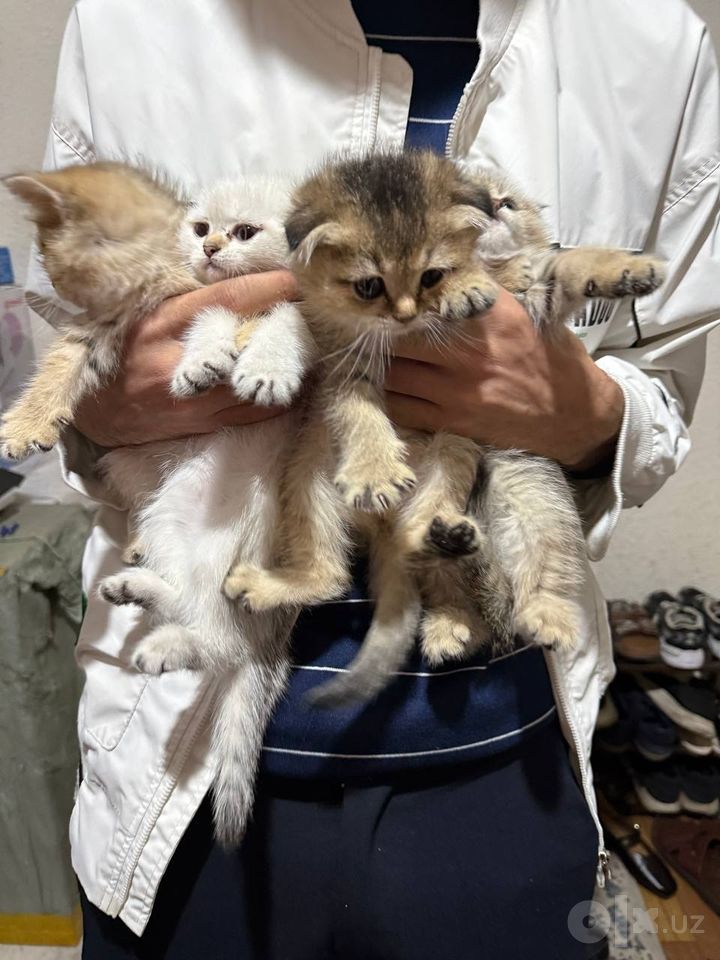 100 USD