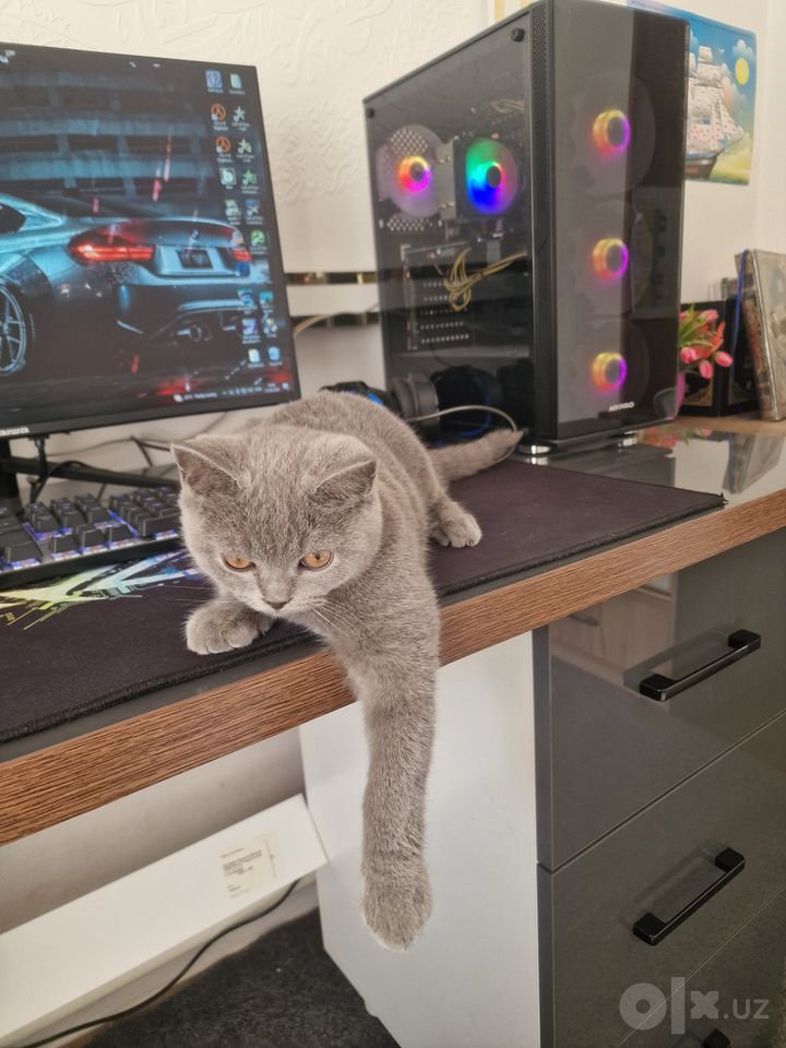 400 000 сум