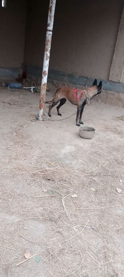 300 USD