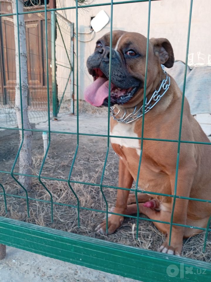 2 500 000 сум