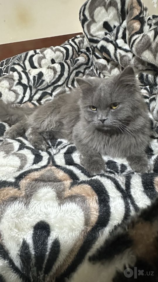 1 700 000 сум