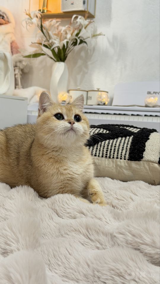 500 USD