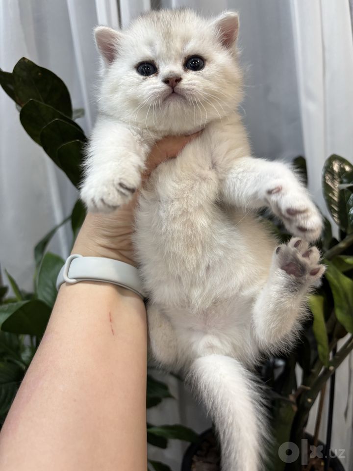 220 USD