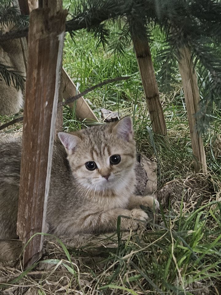 1 200 000 сум