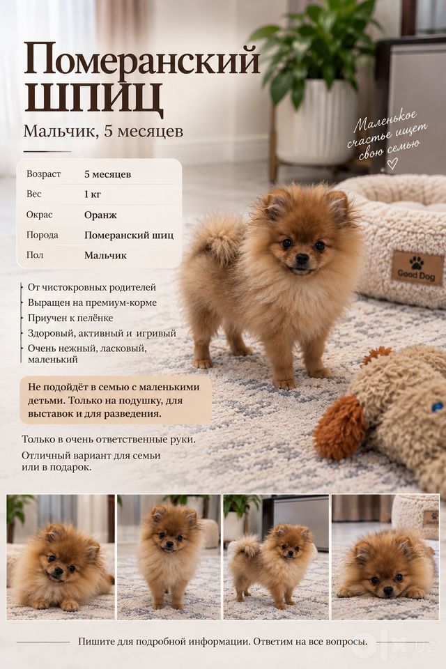 7 000 000 UZS