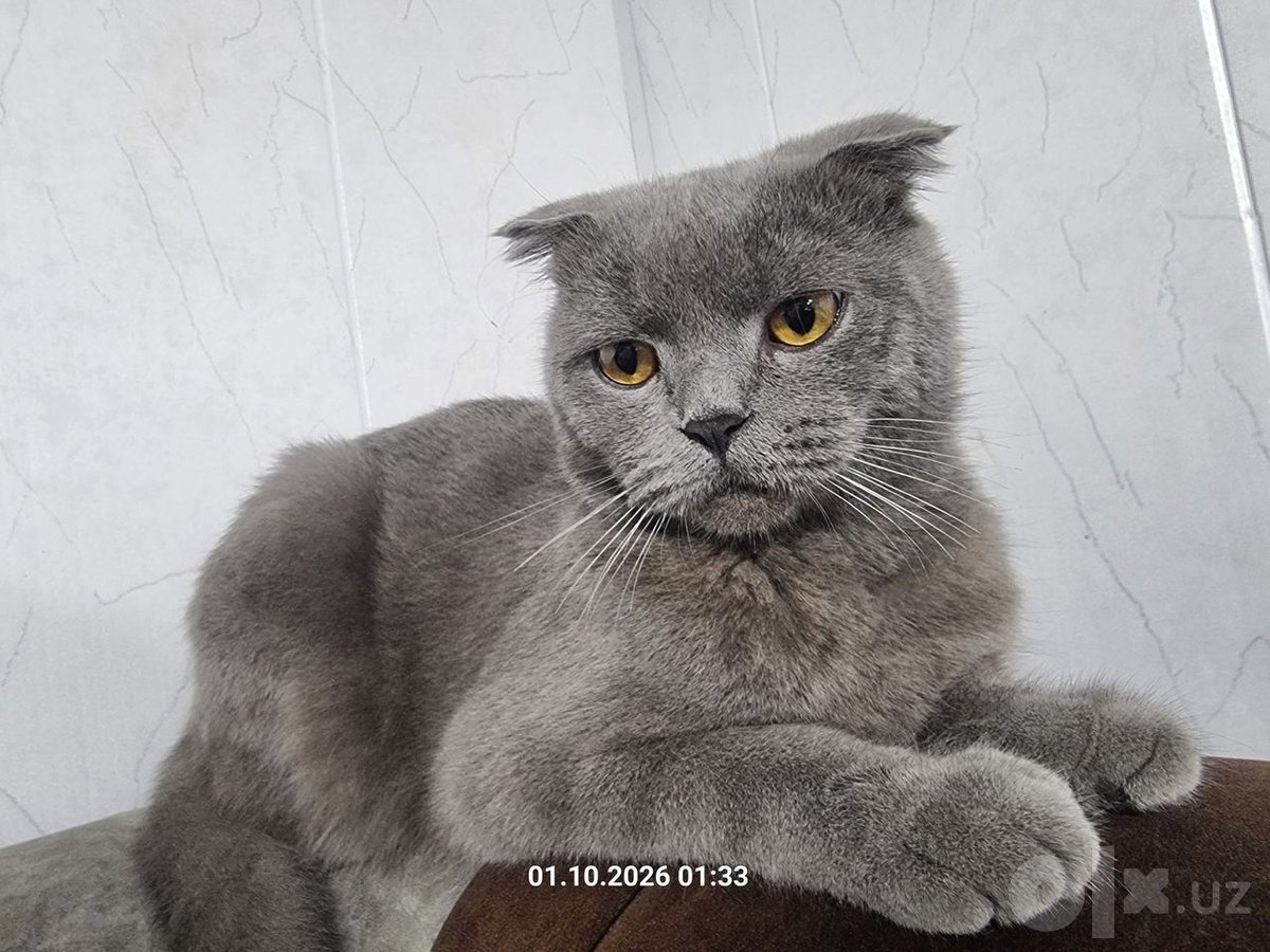 700 000 сум