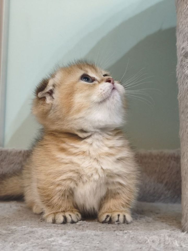 700 USD
