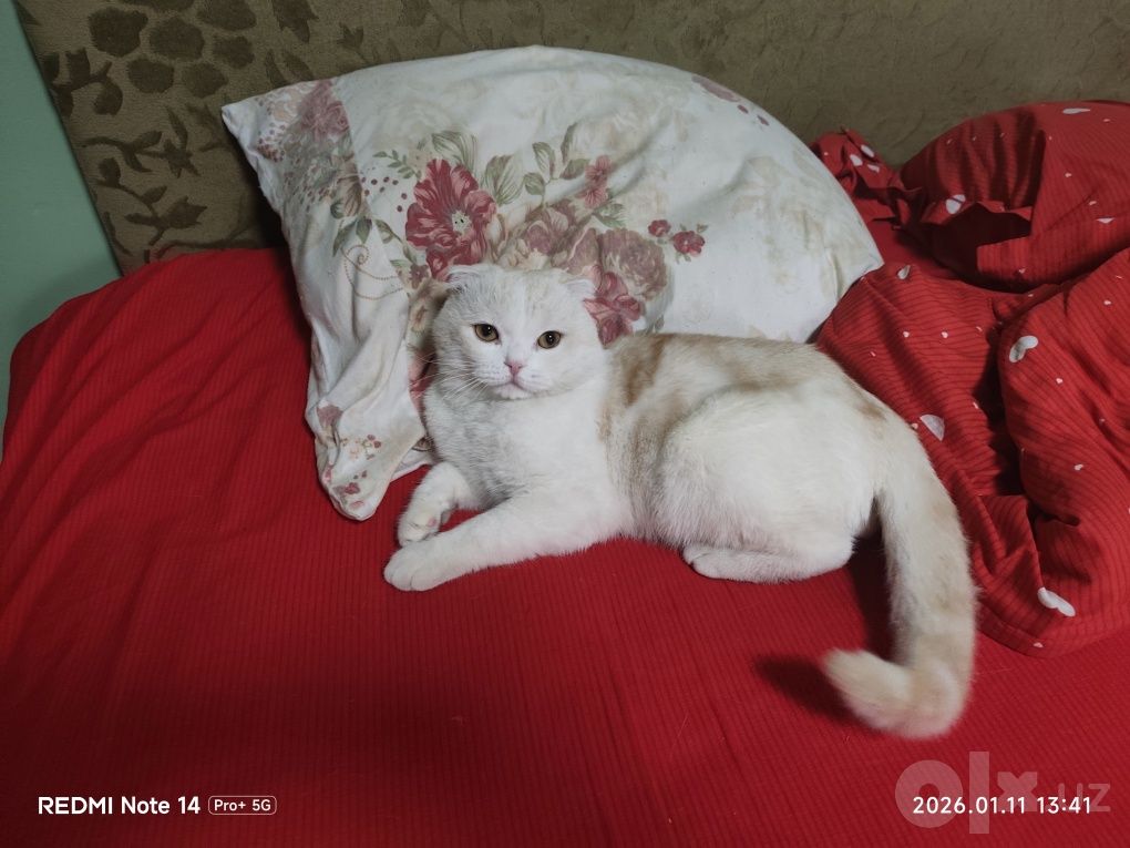 70 USD