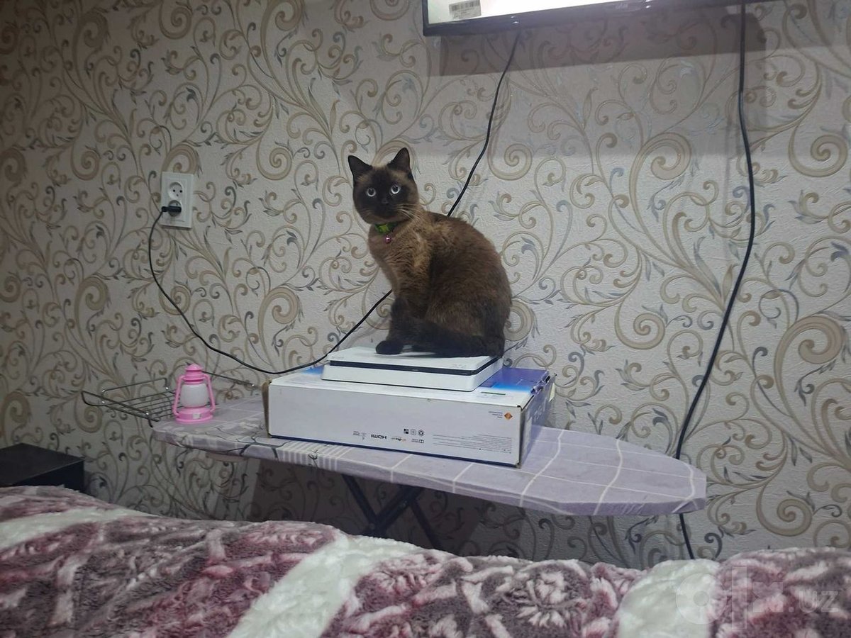 1 000 000 сум
