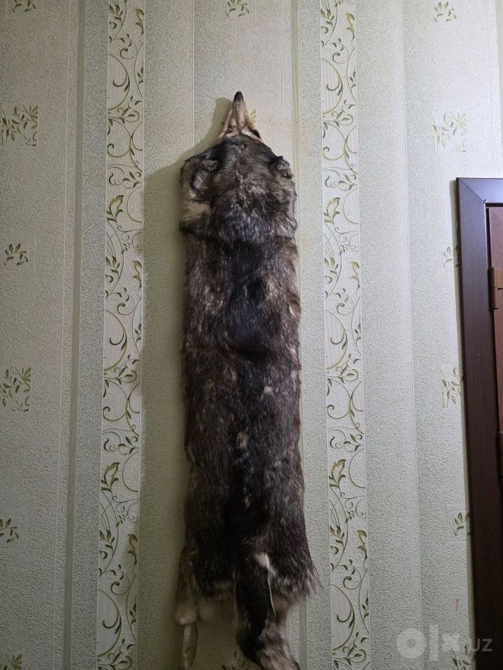 150 USD