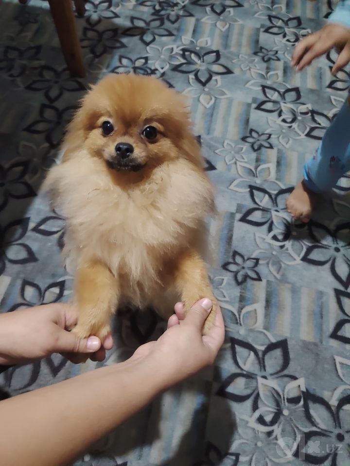 550 USD
