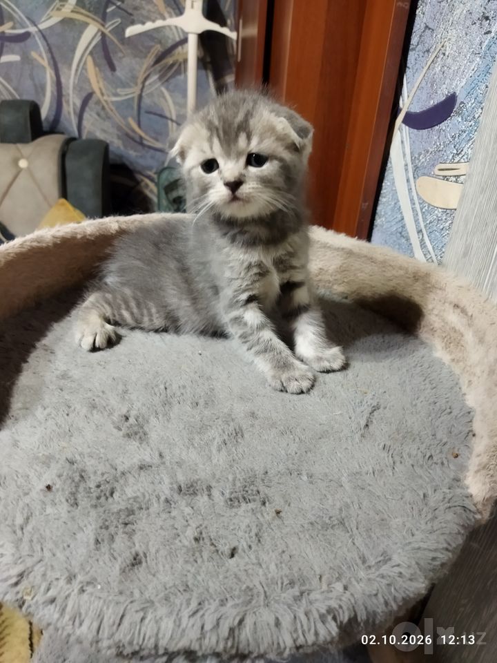 1 100 000 UZS