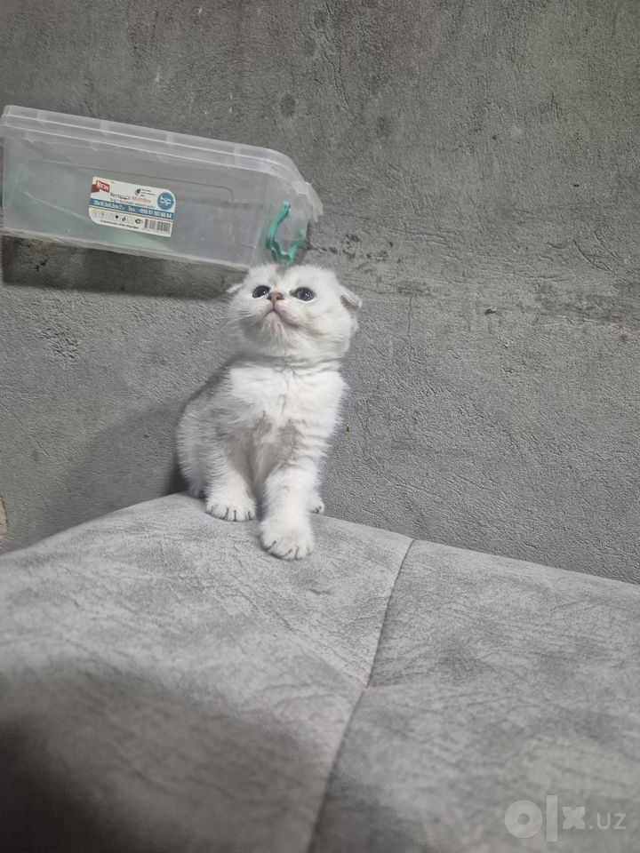 1 200 000 сум