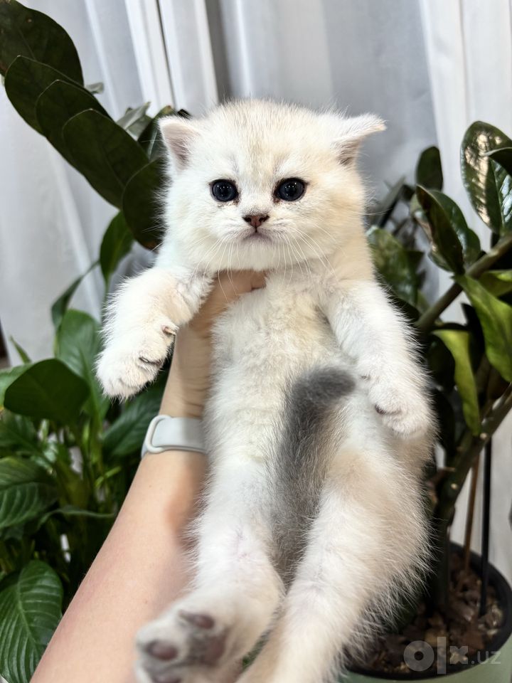 220 USD