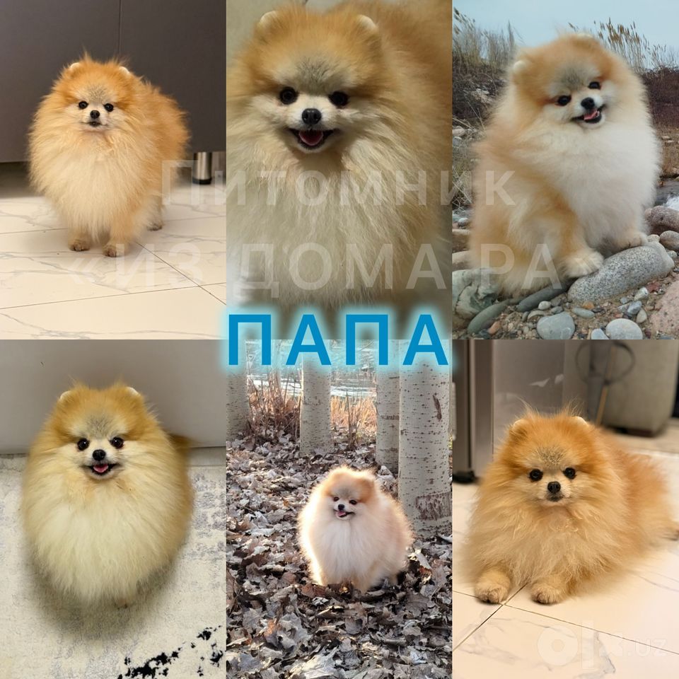 400 USD