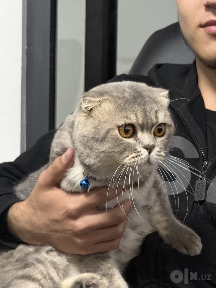 150 USD