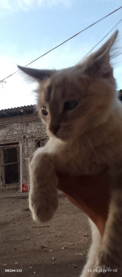 150 000 сум