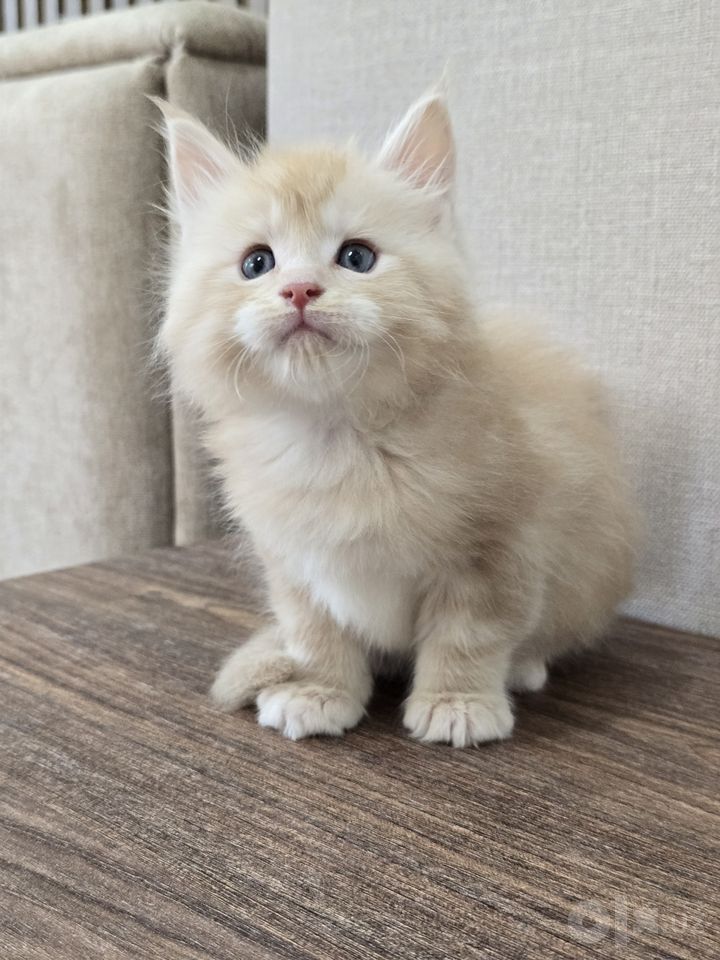 850 USD