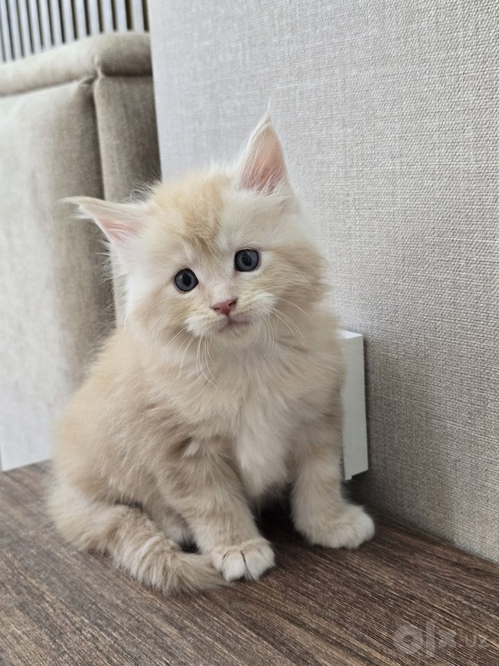 850 USD